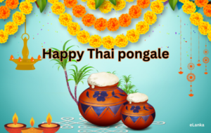Canadian party leaders send Thai Pongal wishes to Tamils