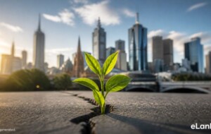 Melbourne Housing Market: A New Window of Opportunity for Our Community