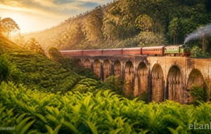 Sri Lanka’s Tourism Boom Continues as Visitor Arrivals Exceed One Million in 2026