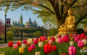 Global Momentum: Canada’s Buddhist Heritage Month Gains Thai Diplomatic Support