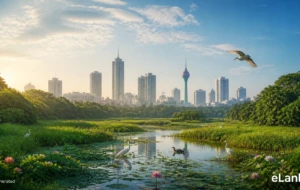 Defending Our ‘Green Heart’: Meet the Community Heroes Protecting Colombo’s Urban Wetlands