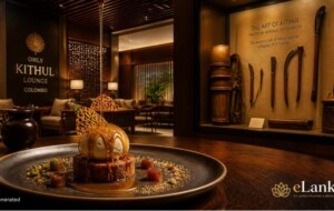Innovation in Tradition: How Only Kithul Lounge is Redefining Sri Lanka’s Kithul Industry