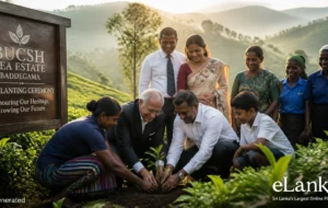 Roots of Ceylon: Basilur Tea Marks International Tea Day with New Plantation Initiative