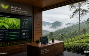 Modernizing Tea Farming: Digital Resource Centres Launched for Sri Lankan Smallholders