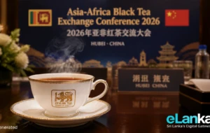 Positioning Ceylon Tea as a Global Benchmark in Hubei, China