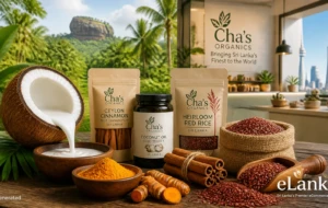 Cha’s Organics: How a Sri Lankan Success Story is Taking Organic Flavours to the Global Stage