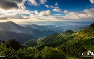Sri Lanka Set to Stay Resilient Against El Niño: Minimal Impact Forecasted