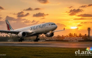 Easier Trips Home: Free Visa Entry Launched