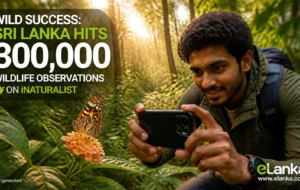 Wild Success: Sri Lanka Hits 300,000 Wildlife Observations on iNaturalist