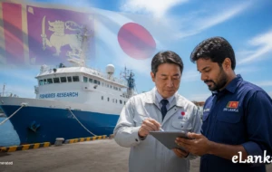 Global Careers: Japan Opens Fisheries and Technology Pathways for Sri Lankan Graduates