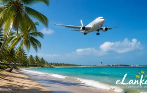 Sri Lanka Tourism Surpasses US$1.5 Billion ,  1.2 Million Visitors and Counting