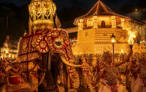 Cabinet Approves Move to Protect Intellectual Property Rights of the Kandy Esala Perahera