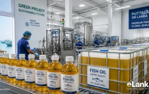 From Fish Waste to Dollar Earnings: Sri Lankan Innovation Boosts Exports