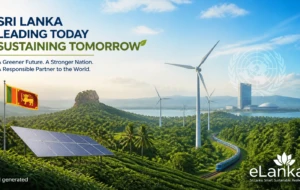 United Nations Praises Sri Lanka’s Green Initiatives ,  Opens Doors for New Climate Financing