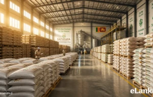 Paddy Marketing Board Ramps Up: Storage Capacity Leaps from 3,500 to 50,000 Metric Tons