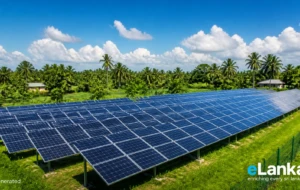 Sri Lanka Secures US$55.9 Million to Supercharge Solar Energy Across the Nation