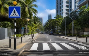 Sri Lanka Joins 14 Nations in FIA-Backed Road Safety Initiative to Protect Pedestrians at High-Risk Crossings