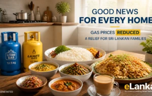 Gas Prices Drop Across Sri Lanka: Restaurant Meals Now Cheaper Too