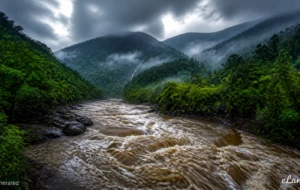 Flood Alerts Issued as Heavy Rainfall Exceeds 155mm in Upper Catchment Areas of Mahaweli and Kelani Rivers
