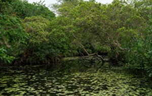 Geoffrey Bawa Trust Expands Sri Lanka’s Global Design Conversation