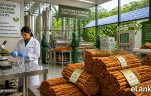 Sri Lanka Launches First-Ever Zero-Waste Cinnamon Processing Center to Boost Agro-Exports Through Science and Technology