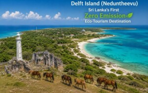 Delft Island to Become Sri Lanka’s First Zero Emission Eco-Tourism Destination