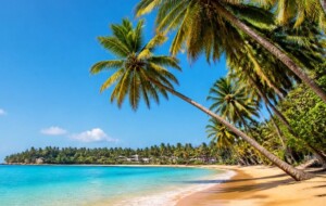 Australia & Indonesia Influencer Familiarization Tour 2026 Generates Over $487K in Earned Media for Sri Lanka Tourism